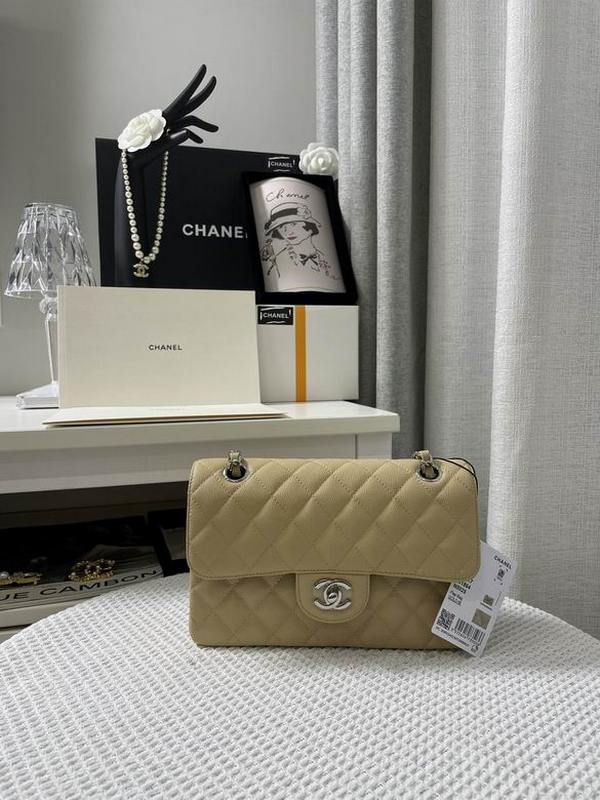 Chanel Handbags 189